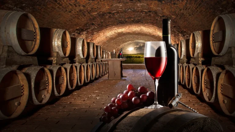 CURSO VINOS PERFECCIONAMIENTO 2023